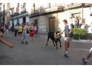 Fiestas de la Asunción. Encierros