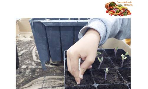 capture-20230629-130651