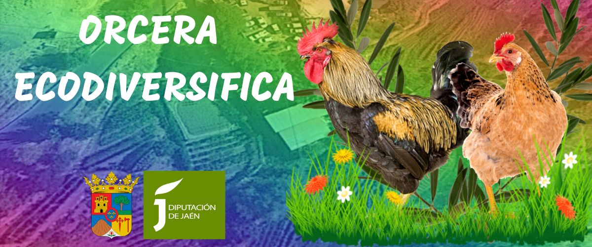 ORCERA ECO-DIVERSIFIA