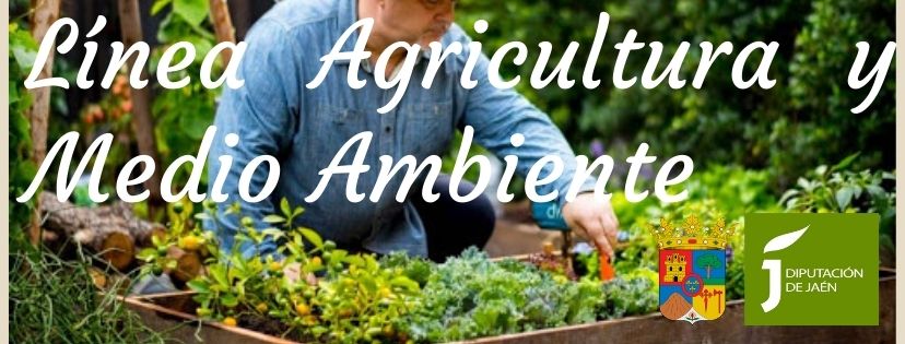 Portada de Facebook de oto&ntilde;o en gris p&aacute;lido