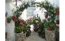 CASCO ANTIGUO DE ORCERA